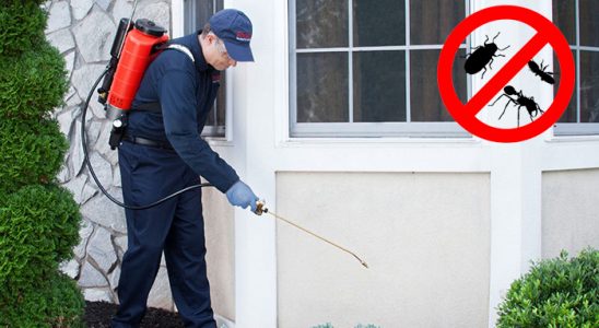 Seyrekköy Dezenfeksiyon böcek ilaçlama ve haşere kontrolü — ilaclama-tr.com